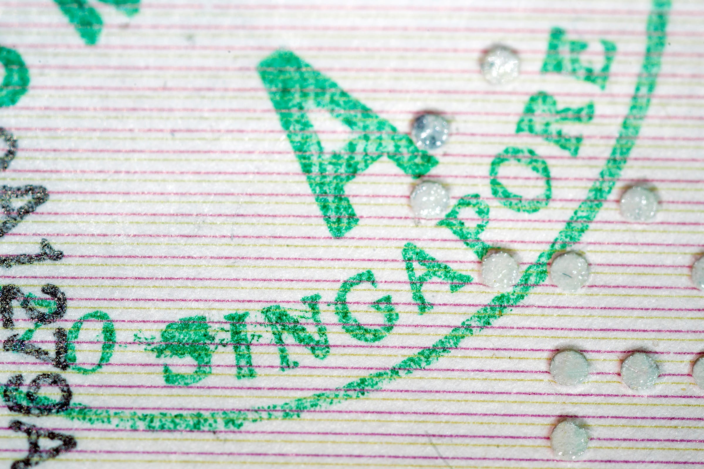 Does Pritam Singh have a problem with Chinese immigrants? Post image